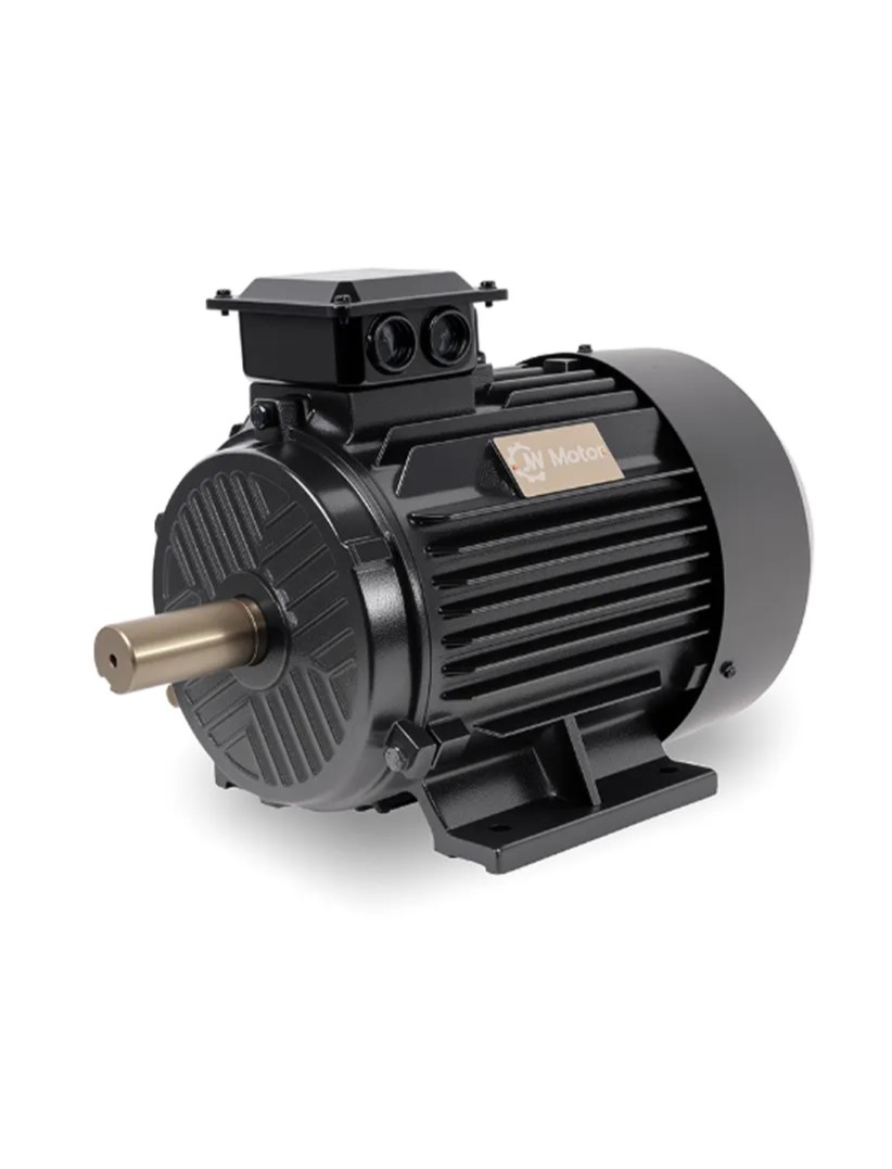 Y2 Series three-phase motor