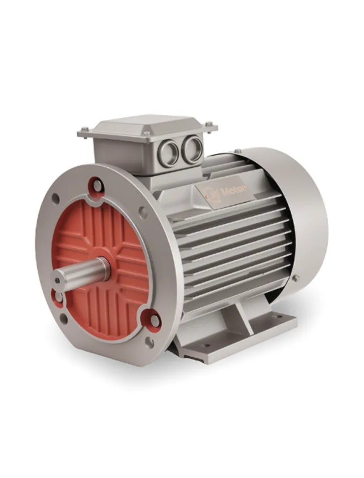 YE4 Series three-phase motor