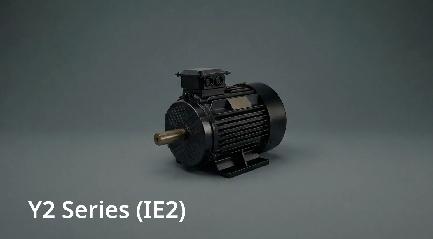 Y2 Series (IE2)